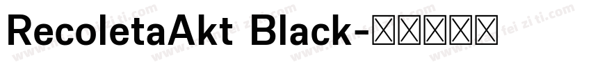 RecoletaAkt Black字体转换
